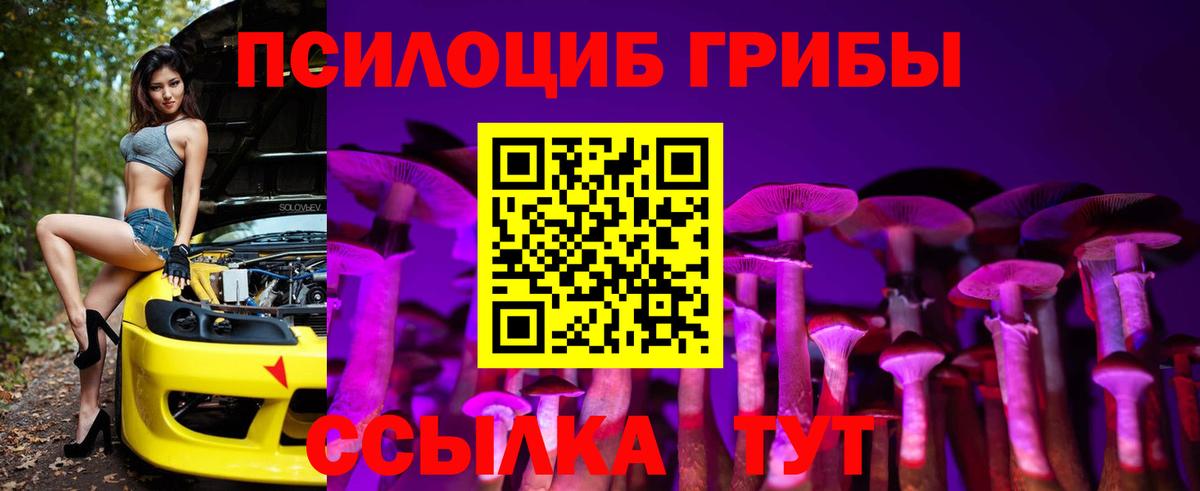 Галлюциногенные грибы мицелий  Вход с VPN  Морозовск 